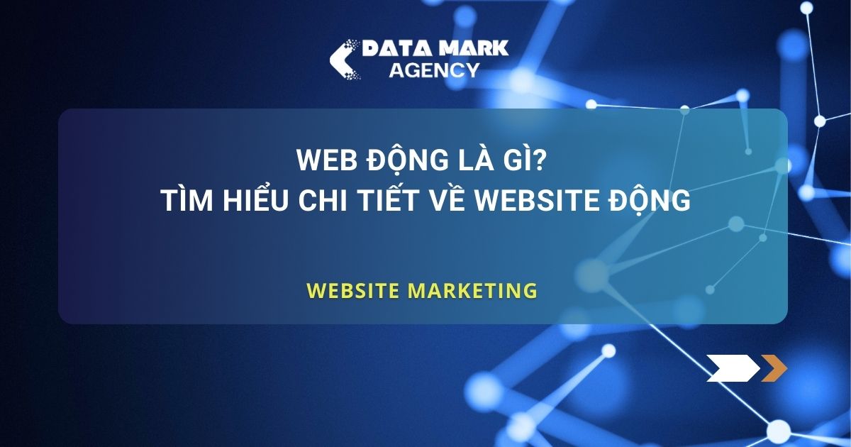Web Động Là Gì