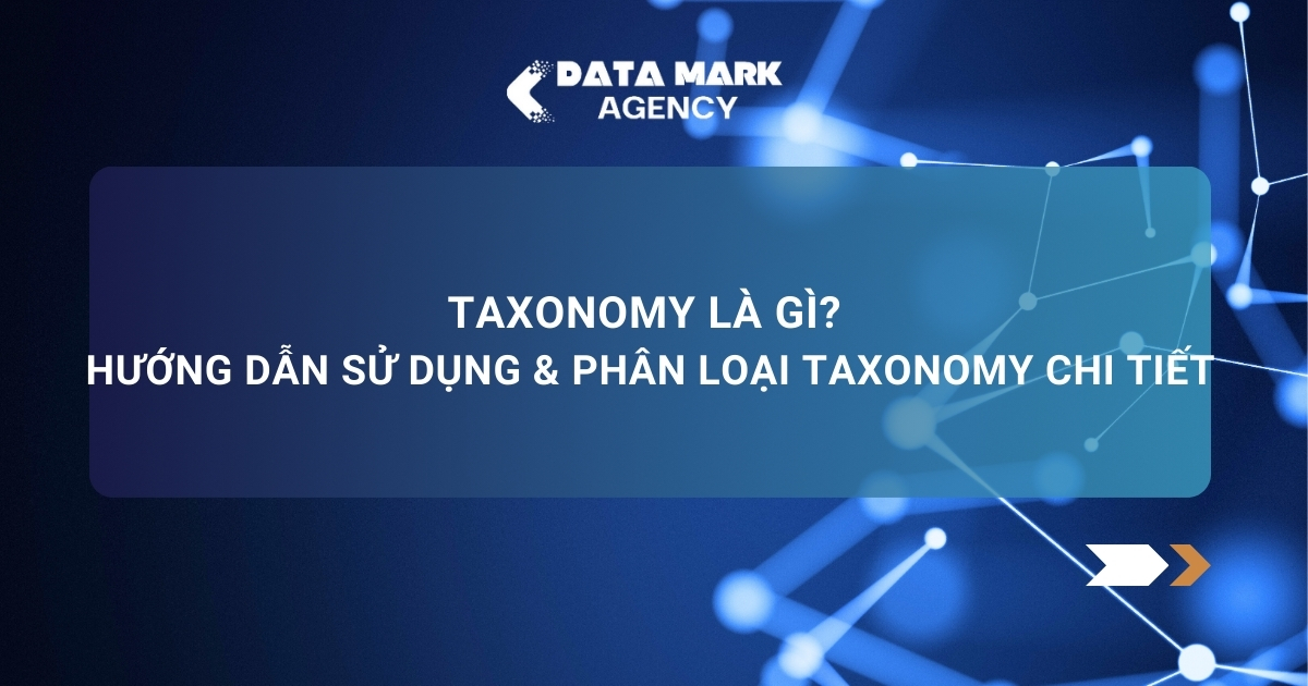 Taxonomy Là Gì Hướng Dẫn Sử Dụng & Phân Loại Taxonomy Chi Tiết